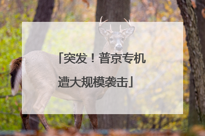 突发！普京专机遭大规模袭击