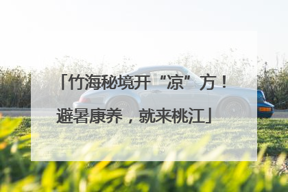 竹海秘境开“凉”方！避暑康养，就来桃江