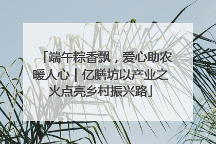 端午粽香飘，爱心助农暖人心｜亿膳坊以产业之火点亮乡村振兴路