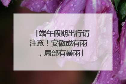端午假期出行请注意！安徽或有雨，局部有暴雨