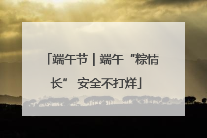 端午节｜端午“粽情长” 安全不打烊