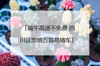 端午高速不免费 四川这些地方容易堵车