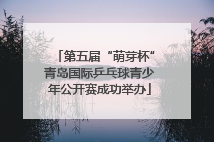 第五届“萌芽杯”青岛国际乒乓球青少年公开赛成功举办