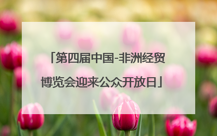 第四届中国-非洲经贸博览会迎来公众开放日