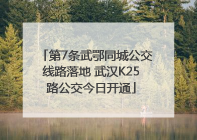 第7条武鄂同城公交线路落地 武汉K25路公交今日开通