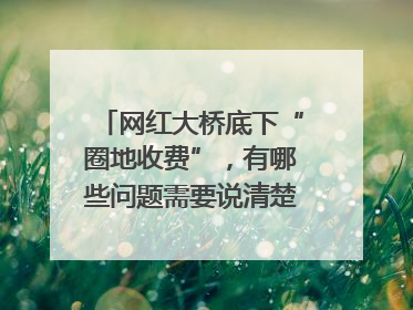 网红大桥底下“圈地收费”，有哪些问题需要说清楚｜新京报快评