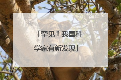 罕见！我国科学家有新发现