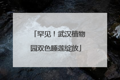罕见！武汉植物园双色睡莲绽放