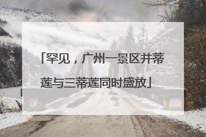 罕见，广州一景区并蒂莲与三蒂莲同时盛放