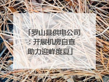 罗山县供电公司：开展机房自查 助力迎峰度夏