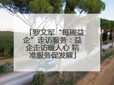 罗文军“每周益企”走访服务：益企走访暖人心 精准服务促发展