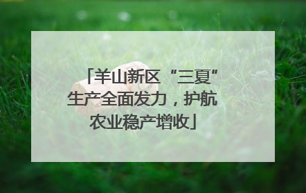 羊山新区“三夏”生产全面发力，护航农业稳产增收