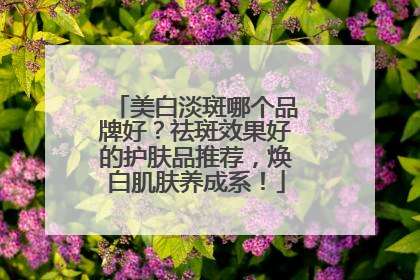 美白淡斑哪个品牌好？祛斑效果好的护肤品推荐，焕白肌肤养成系！