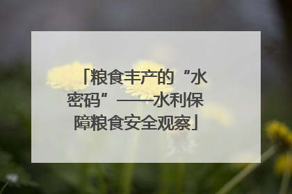 粮食丰产的“水密码”——水利保障粮食安全观察