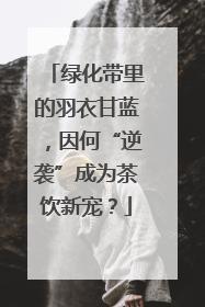 绿化带里的羽衣甘蓝，因何“逆袭”成为茶饮新宠？