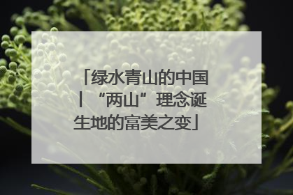 绿水青山的中国丨“两山”理念诞生地的富美之变