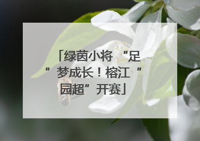 绿茵小将 “足”梦成长！榕江“园超”开赛