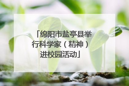 绵阳市盐亭县举行科学家（精神）进校园活动
