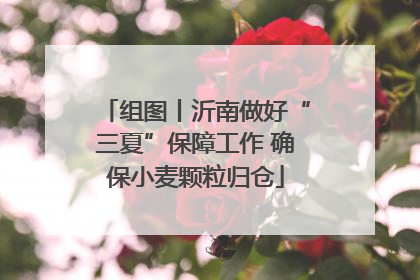 组图丨沂南做好“三夏”保障工作 确保小麦颗粒归仓