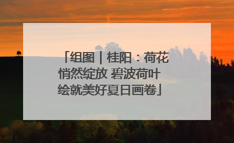 组图｜桂阳：荷花悄然绽放 碧波荷叶绘就美好夏日画卷