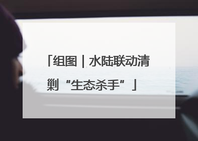 组图｜水陆联动清剿“生态杀手”