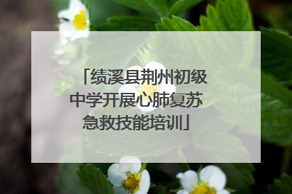 绩溪县荆州初级中学开展心肺复苏急救技能培训