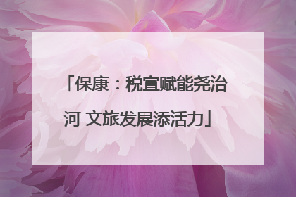 保康：税宣赋能尧治河 文旅发展添活力