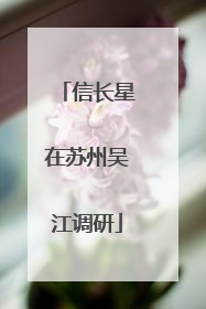 信长星在苏州吴江调研