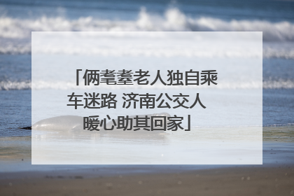 俩耄耋老人独自乘车迷路 济南公交人暖心助其回家