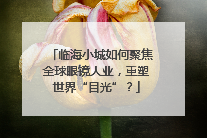 临海小城如何聚焦全球眼镜大业，重塑世界“目光”？