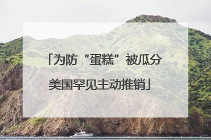 为防“蛋糕”被瓜分 美国罕见主动推销