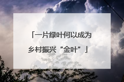 一片绿叶何以成为乡村振兴“金叶”