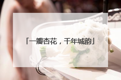 一瓣杏花，千年城韵
