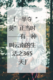 一举夺“葵”正当时——有一种叫云南的生活之365天