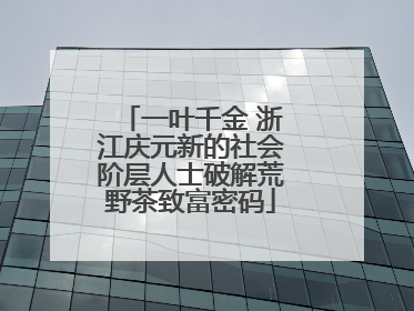 一叶千金 浙江庆元新的社会阶层人士破解荒野茶致富密码