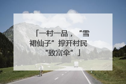 一村一品，“雪裙仙子”撑开村民“致富伞”