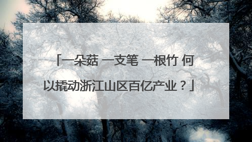 一朵菇 一支笔 一根竹 何以撬动浙江山区百亿产业？