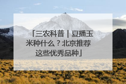 三农科普｜夏播玉米种什么？北京推荐这些优秀品种