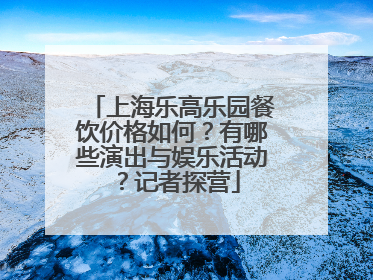 上海乐高乐园餐饮价格如何？有哪些演出与娱乐活动？记者探营