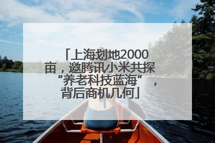 上海划地2000亩，邀腾讯小米共探“养老科技蓝海”，背后商机几何