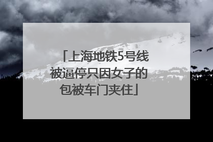 上海地铁5号线被逼停只因女子的包被车门夹住