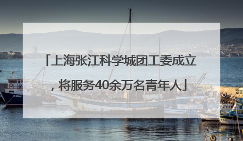 上海张江科学城团工委成立，将服务40余万名青年人