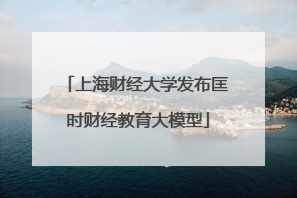 上海财经大学发布匡时财经教育大模型