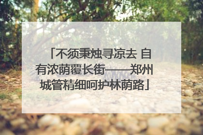 不须秉烛寻凉去 自有浓荫覆长街——郑州城管精细呵护林荫路