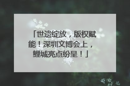 世遗绽放，版权赋能！深圳文博会上，鲤城亮点纷呈！