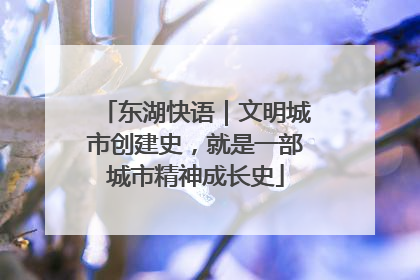 东湖快语｜文明城市创建史，就是一部城市精神成长史