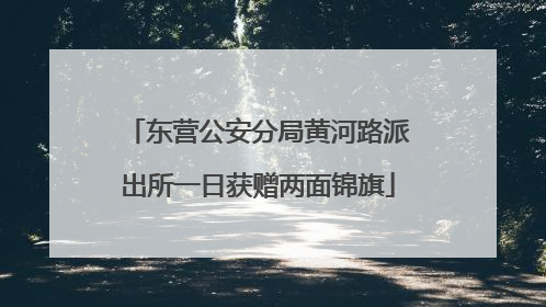东营公安分局黄河路派出所一日获赠两面锦旗