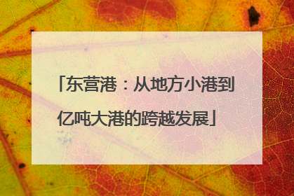 东营港：从地方小港到亿吨大港的跨越发展