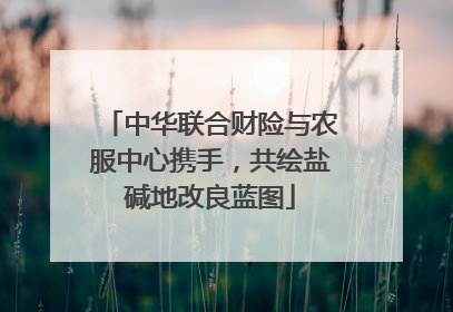 中华联合财险与农服中心携手，共绘盐碱地改良蓝图