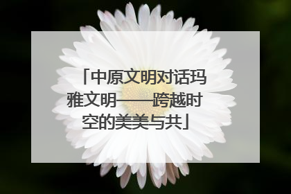 中原文明对话玛雅文明——跨越时空的美美与共